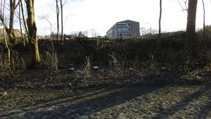 Gymnasium-Kahlschlag3.jpg
